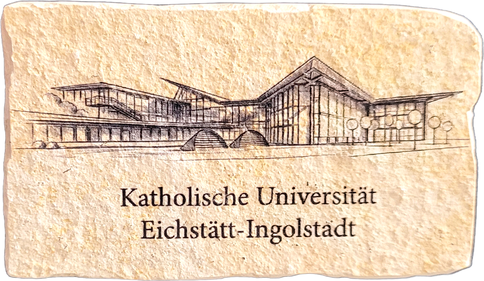 Jurastein-Magnet Zentralbibliothek